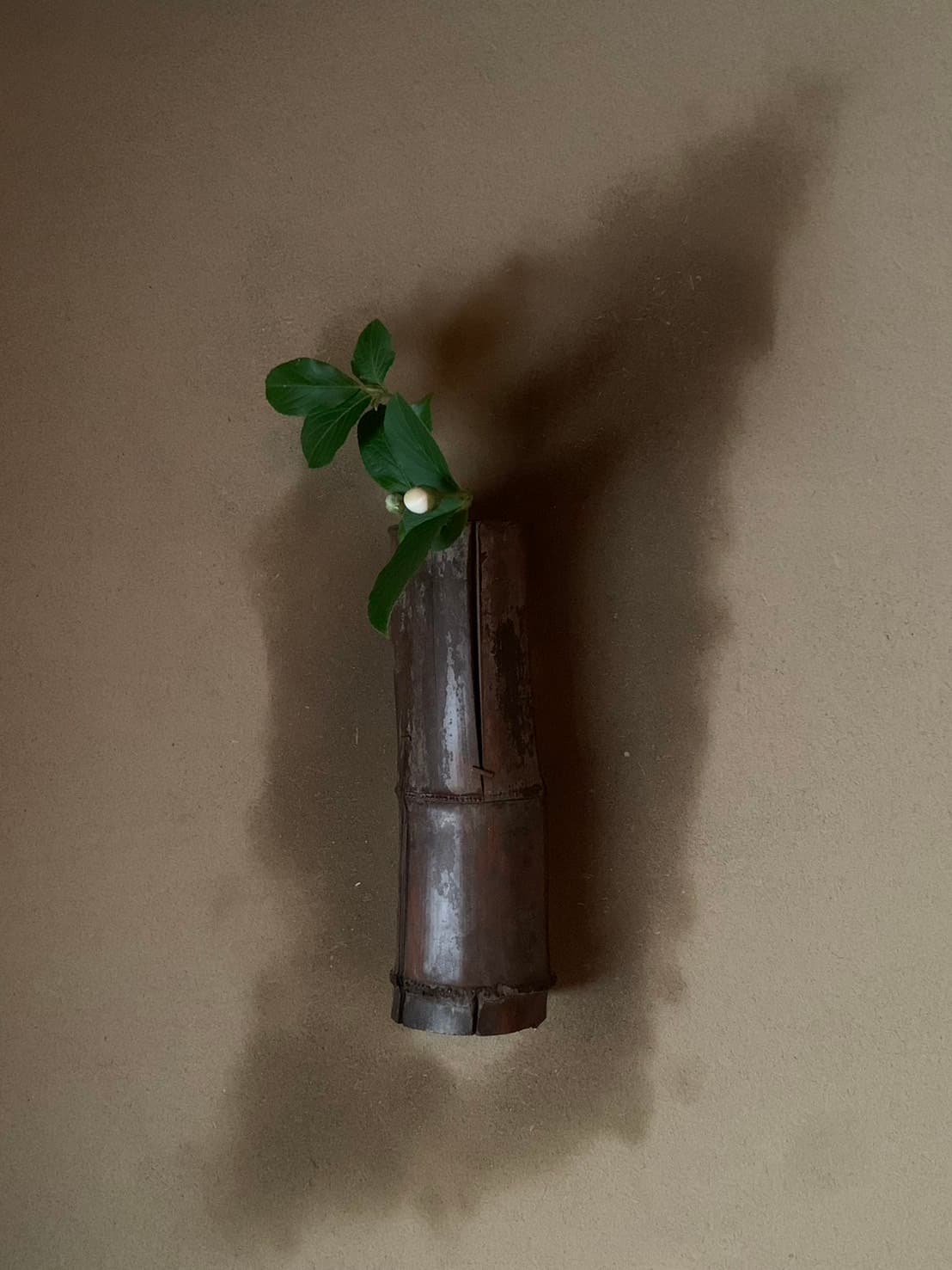 Rikyū Shakuhachi Take Hanaire