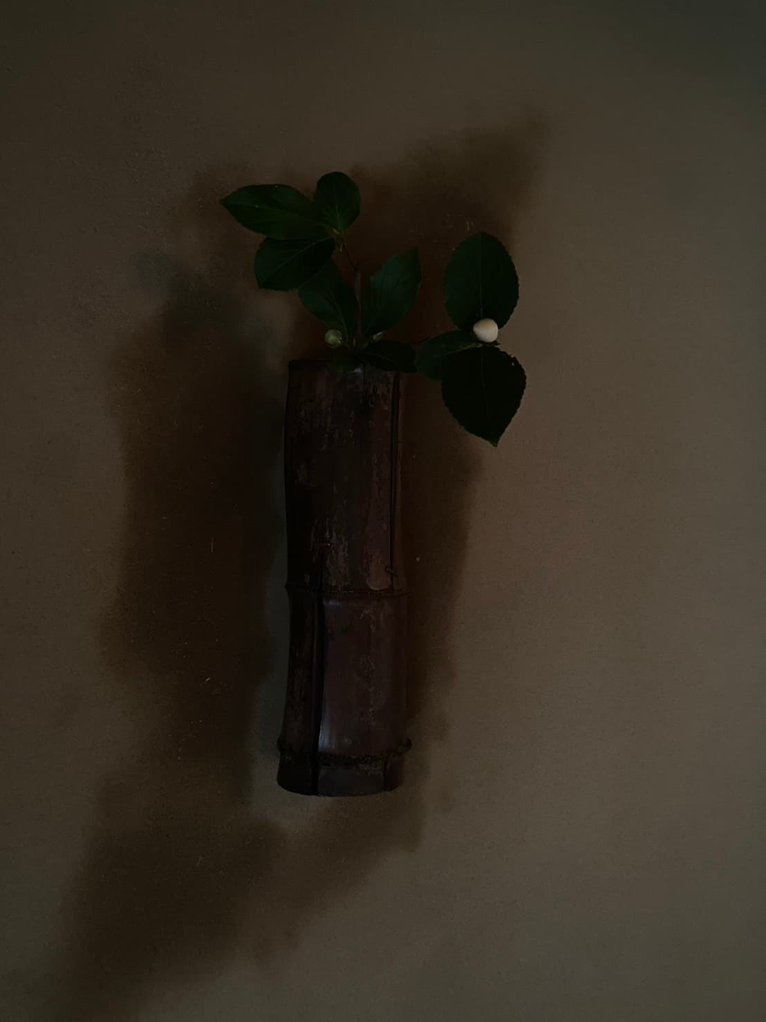Rikyū Shakuhachi Take Hanaire